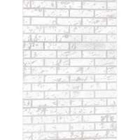 articul-A148921