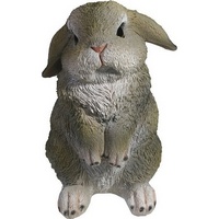 articul-A218051