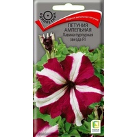 articul-A254589