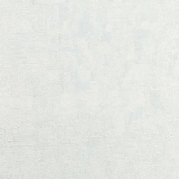 articul-A322645