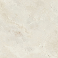 articul-A338678